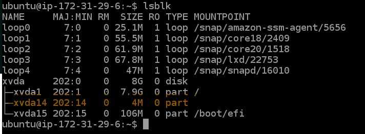 25000000-check-efs-mount-lsblk