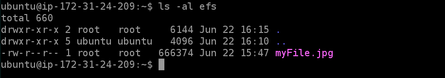 25000000-efs-check-server2